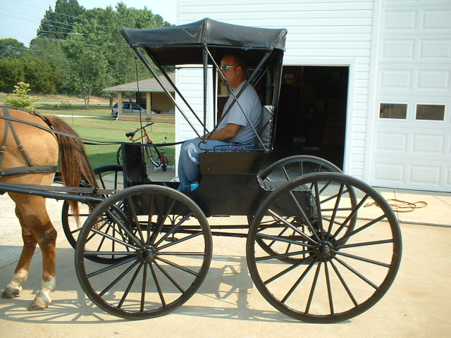 Buck and a buugy for the first time at 17.